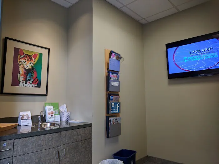 Pet Emergency & Specialty Center-South County 6