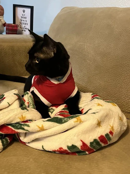 Pet Emergency & Specialty Center-South County 5