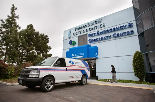 Pet Emergency & Specialty Center-South County 4