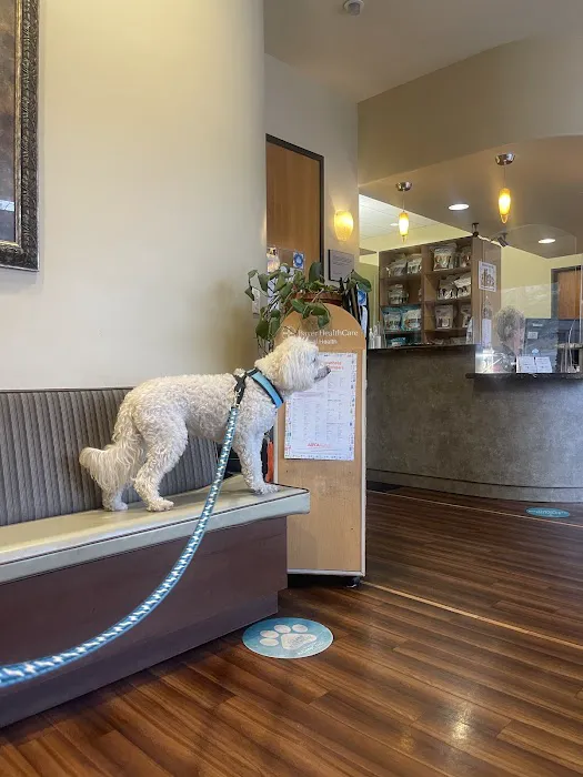 Telegraph Canyon Animal Medical Center 7