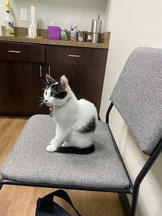 Telegraph Canyon Animal Medical Center 6