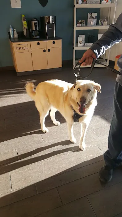 Banfield Pet Hospital 2