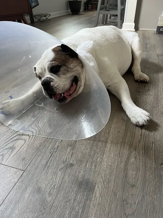Emberton House Call Veterinary Clinic 12
