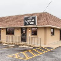 The Animal Clinic ico
