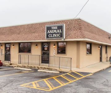 The Animal Clinic