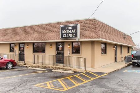 The Animal Clinic