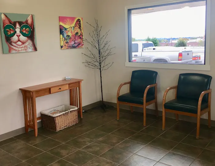 The Animal Clinic 7