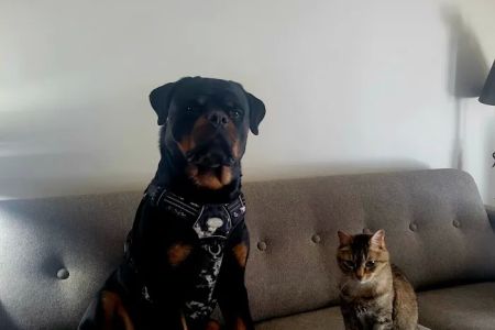 Madison Veterinary Clinic