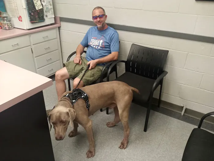 Madison Veterinary Clinic 12