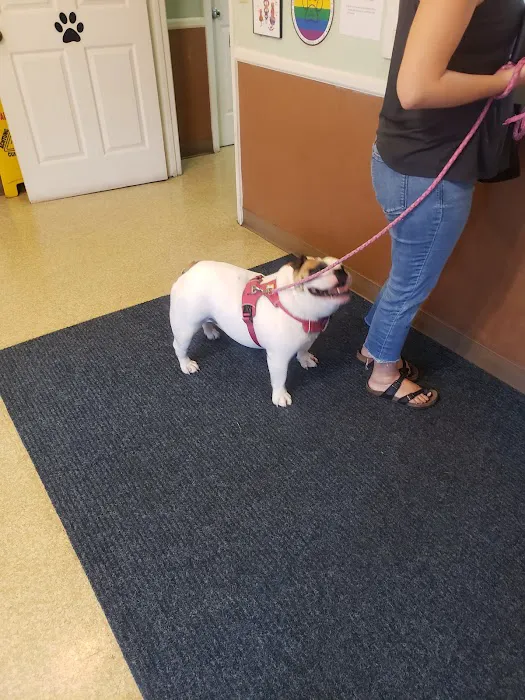 Indian Lake Animal Clinic 4