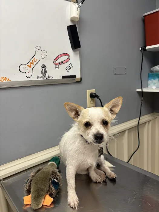 Volunteer Veterinary Clinic Inc 1