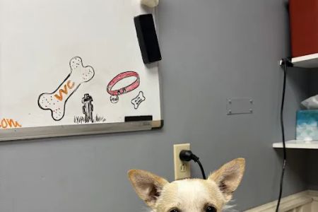 Volunteer Veterinary Clinic Inc