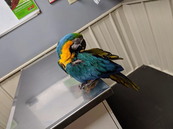 Volunteer Veterinary Clinic Inc 2