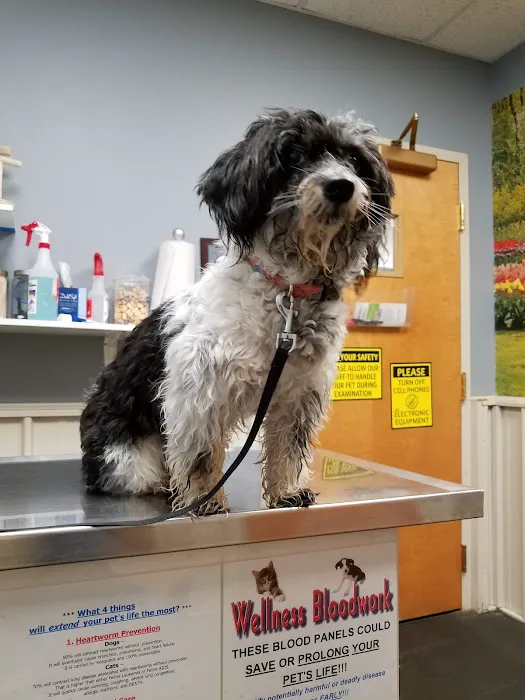Volunteer Veterinary Clinic Inc 5