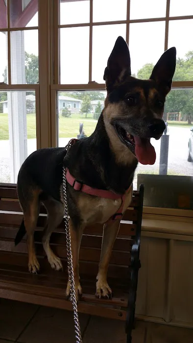 Volunteer Veterinary Clinic Inc 7