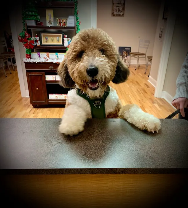 Haley Veterinary Practice, LLC 12