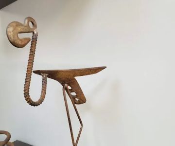Airport Animal Clinic