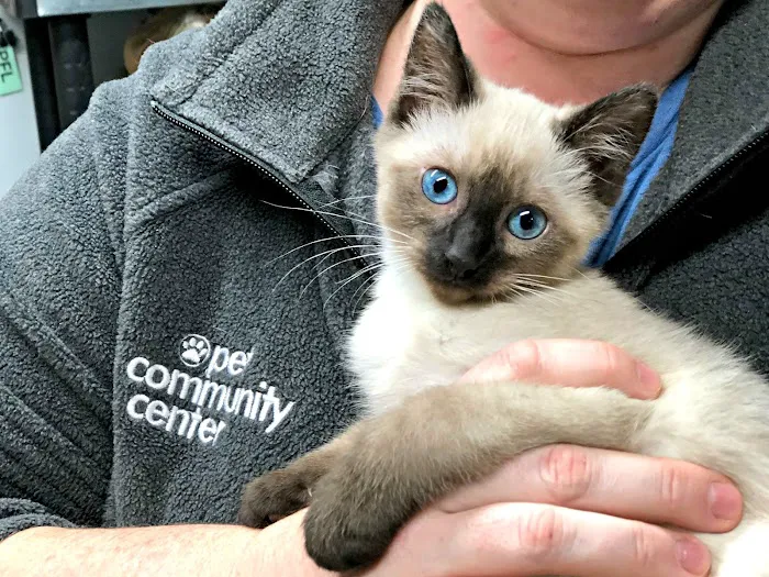 Pet Community Center 8