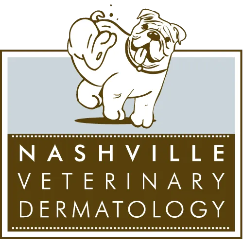 Nashville Veterinary Dermatology 4