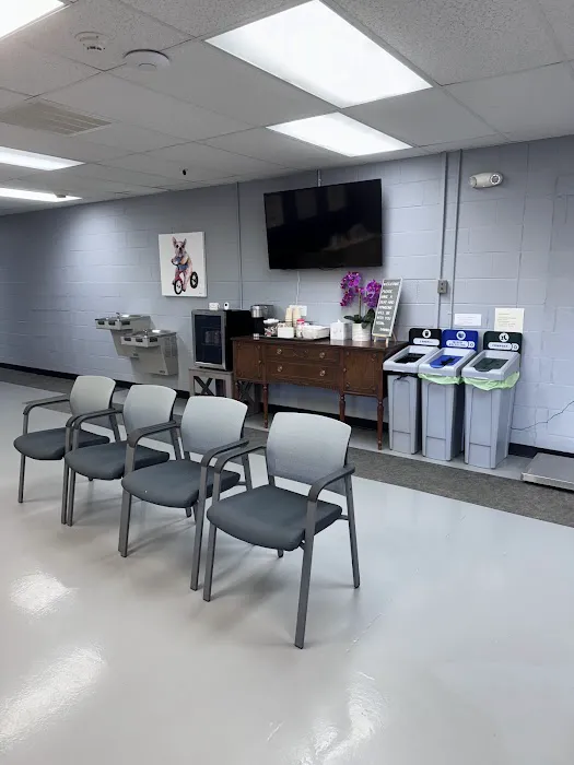 Canine Rehabilitation of Nashville 2