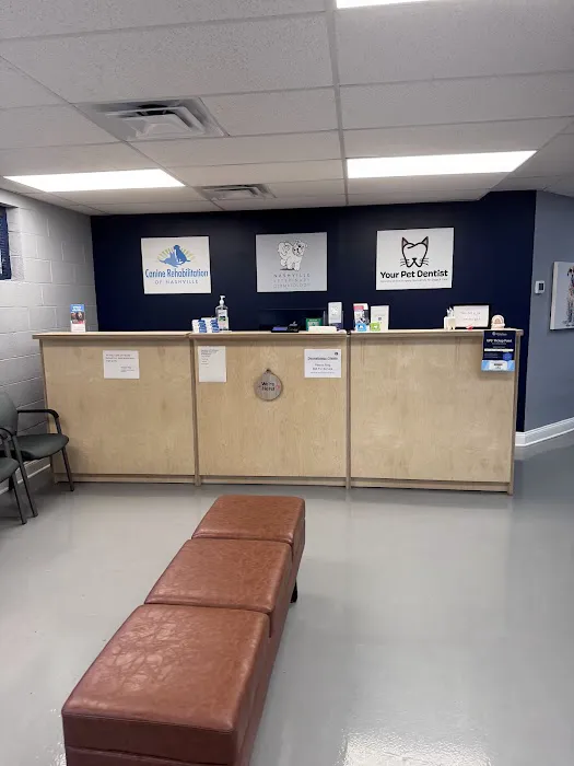 Canine Rehabilitation of Nashville 1