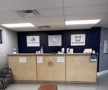 Canine Rehabilitation of Nashville