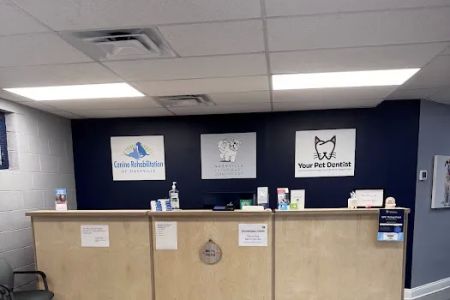 Canine Rehabilitation of Nashville