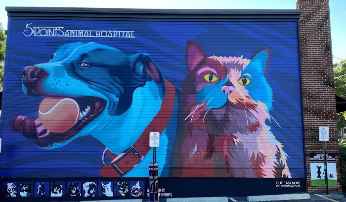 5 Points Animal Hospital 12