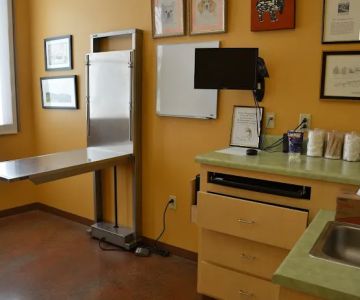 5 Points Animal Hospital