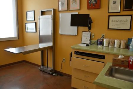 5 Points Animal Hospital