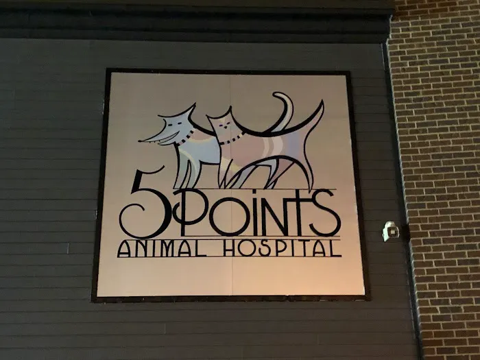 5 Points Animal Hospital 12