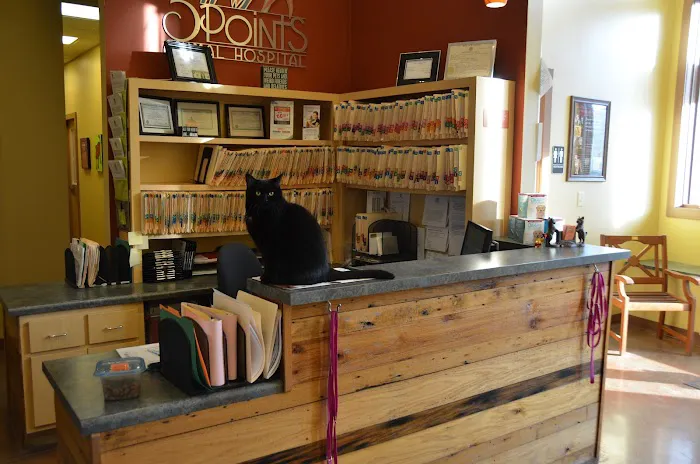 5 Points Animal Hospital 12