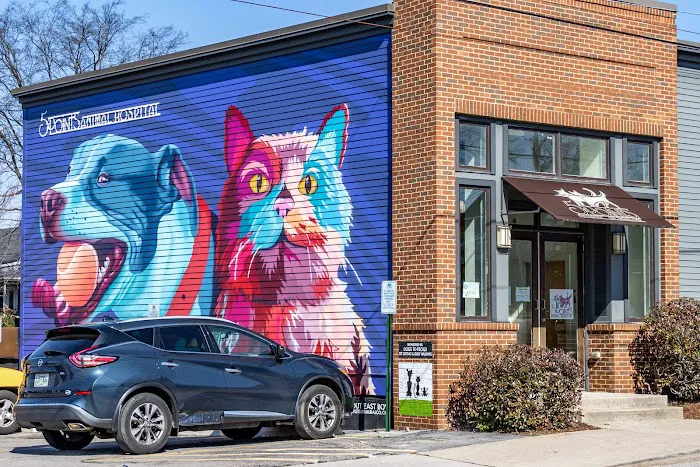 5 Points Animal Hospital 12
