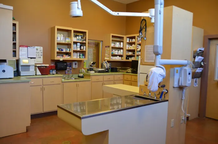 5 Points Animal Hospital 12