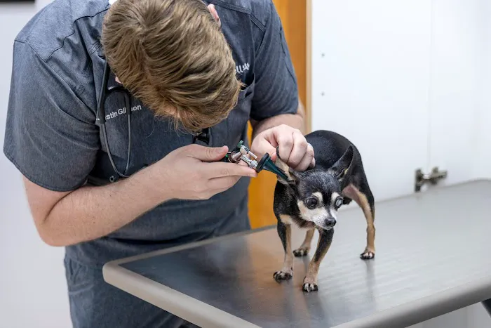 Livewell Animal Urgent Care of East Nashville 12
