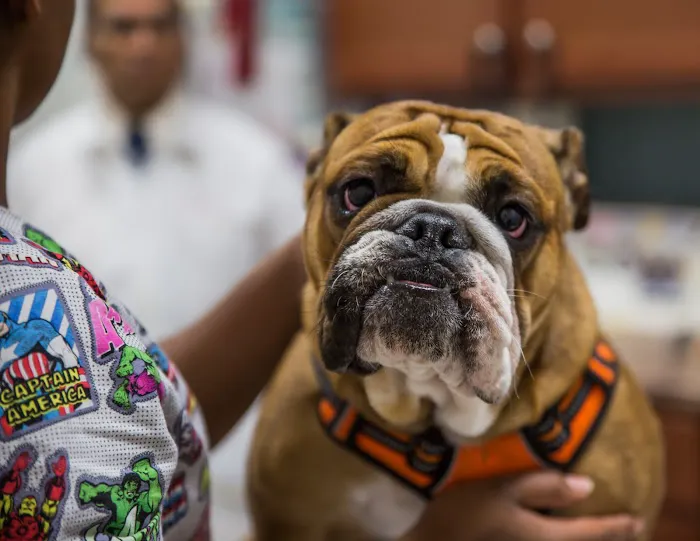 Caudle Veterinary Clinic 6