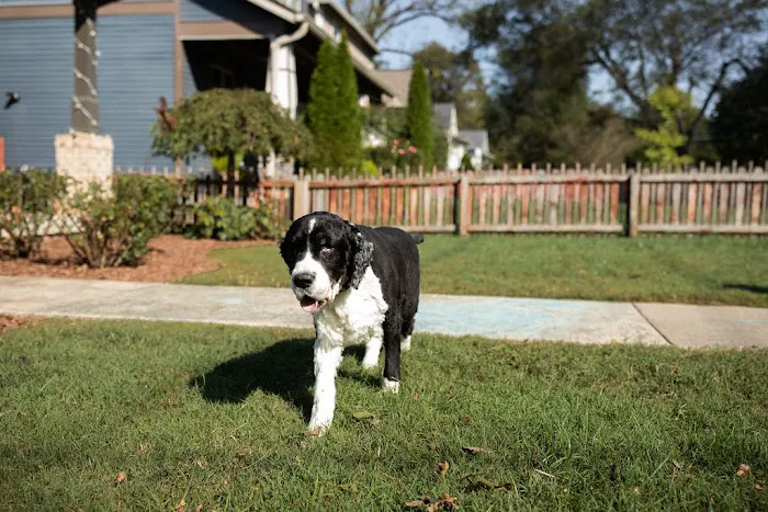 Caudle Veterinary Clinic 10