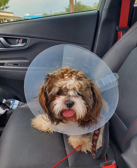 San Antonio Wellness Spay and Neuter Clinic 12