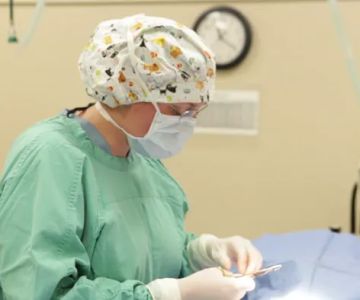 Alamo Dog & Cat Hospital