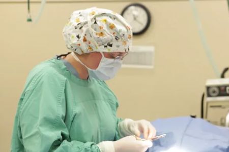 Alamo Dog & Cat Hospital