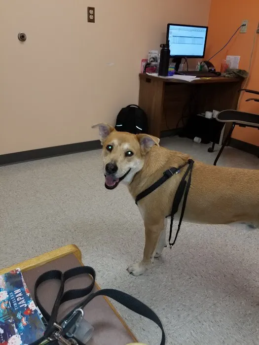 Lackland AFB Veterinary Treatment Facility 12