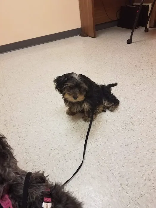 Lackland AFB Veterinary Treatment Facility 12