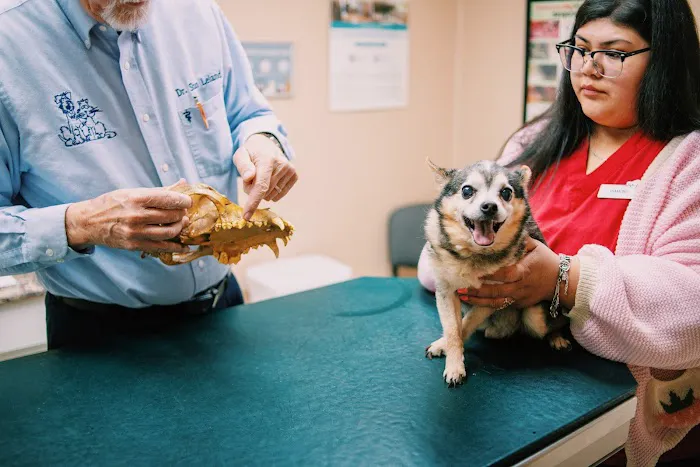 Pet Vaccination Clinic 12
