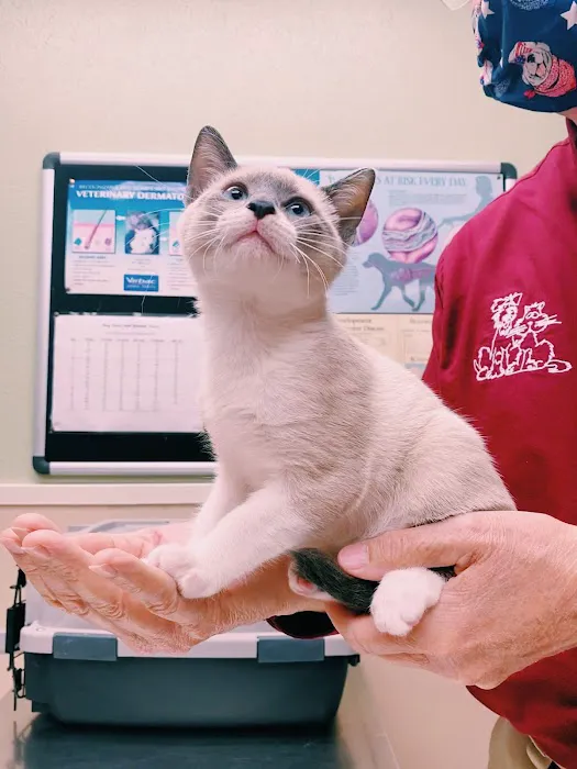 Pet Vaccination Clinic 12