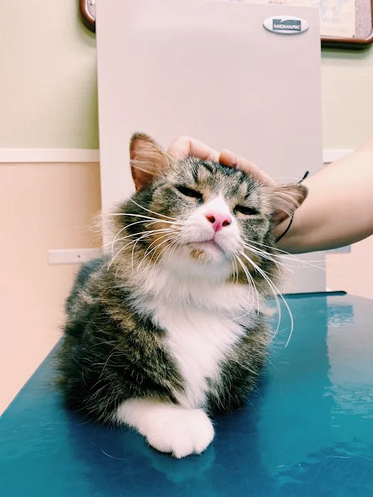 Pet Vaccination Clinic 12