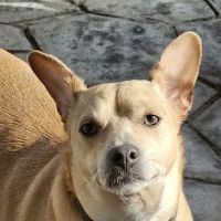Marbach Road Animal Hospital ico