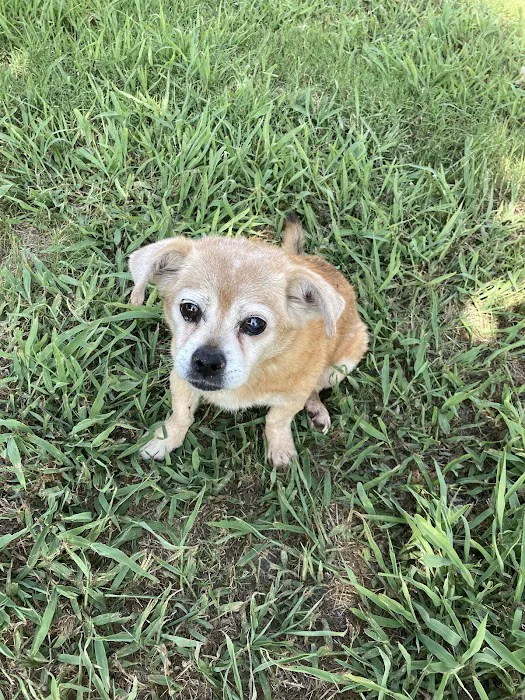 Marbach Road Animal Hospital 12
