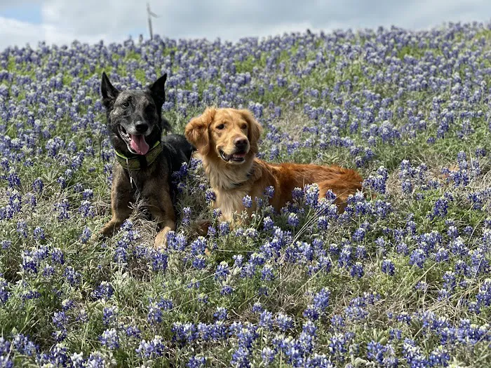 Marbach Road Animal Hospital 12
