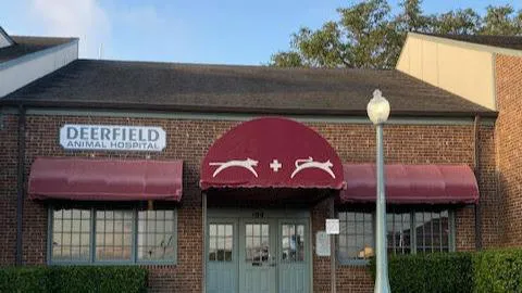 Deerfield Animal Hospital 12