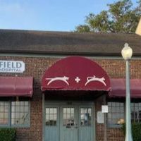 Deerfield Animal Hospital ico